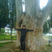 ���������� ���������, ���� ������� �����, 41 ���, ������������ ��� ������, ���������