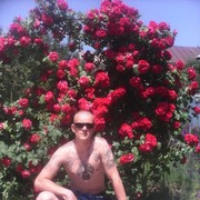  ,   Serega, 37 ,   
