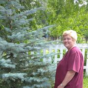 ���������� ������, ���� ������� ����, 61 ���, ������������ ��� ������, ����� � ���������