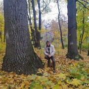 ���������� �������, ���� ������� ���������, 66 ���, ������������ ��� c�������� ���������