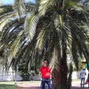  ,   , 44 ,   ,   , c 