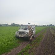 ���������� ����, ���� ������� ������, 35 ���, ������������ ��� ������, ����� � ���������, c�������� ���������