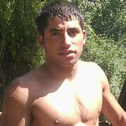 ���������� ����������, ���� ������� Galo, 36 ���, ������������ ��� ������, ����� � ���������