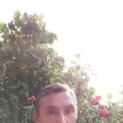 ���������� ���������, ���� ������� ������, 50 ���, ������������ ��� ������, ����� � ���������, c�������� ���������