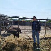  ,   , 28 ,   ,   , 