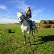 ���������� �����, ���� ������� ��������, 40 ���, ������������ ��� ����� � ���������, c�������� ���������