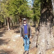 ,   , 57 ,   c 
