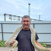   ,  Vagan, 46