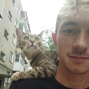  ,   , 28 ,     , c 