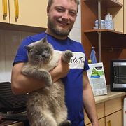 ���������� ������, ���� ������� ���������, 29 ���, ������������ ��� ������, ����� � ���������