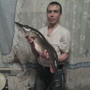 ���������� ������, ���� ������� ������, 51 ���, ������������ ��� ������, ����� � ���������, c�������� ���������