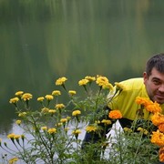  ,   , 42 ,  