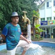  ,   , 54 ,   ,   