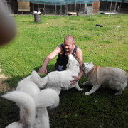 ���������� �����, ���� ������� ������, 53 ����, ������������ ��� ������, ����� � ���������, c�������� ���������