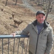  ,   , 43 ,   
