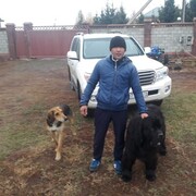 ���������� ��������, ���� ������� ������, 40 ���, ������������ ��� ������, ����� � ���������, c�������� ���������