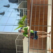 ���������� ��������, ���� ������� ��������, 49 ���, ������������ ��� ������