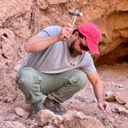 ���������� �����-���������, ���� ������� �����, 48 ���, ������������ ��� ������, ����� � ���������