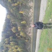  ,   , 39 ,   