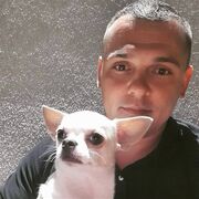 ���������� ������, ���� ������� ��������, 38 ���, ������������ ��� ������, ����� � ���������, c�������� ���������