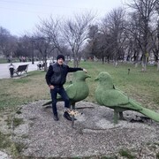  ,   , 49 ,   ,   , c , 