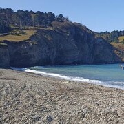 ���������� �������, ���� ������� ����, 53 ����, ������������ ��� ����� � ���������, c�������� ���������, ���������