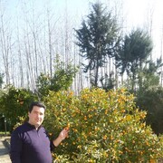  ,   Arash, 47 ,   ,   