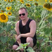 ���������� ���������, ���� ������� ���������, 38 ���, ������������ ��� c�������� ���������