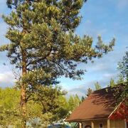 ���������� �����-���������, ���� ������� ������, 45 ���, ������������ ��� ������, ����� � ���������