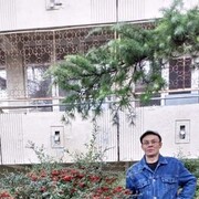  ,   , 44 ,   c 