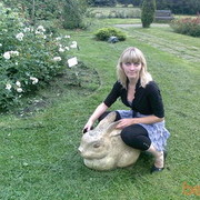 ���������� �����, ���� ������� ����, 36 ���, ������������ ��� ������