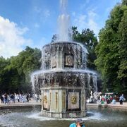 ���������� ������������, ���� ������� �����, 28 ���, ������������ ��� ����� � ���������, c�������� ���������