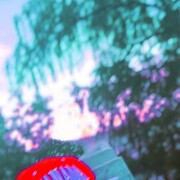 ���������� ������, ���� ������� �������, 38 ���, ������������ ��� ������, ����� � ���������, ���������