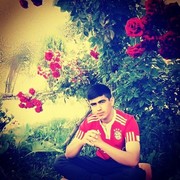 ���������� �����-���������, ���� ������� Amir, 28 ���, ������������ ��� ������, ����� � ���������, c�������� ���������