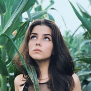  ,   , 25 ,   ,   