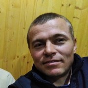  -,   , 43 ,   ,   , c 