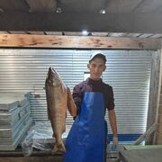 ���������� ���������, ���� ������� �������, 28 ���, ������������ ��� ������, ����� � ���������, c�������� ���������, ���������