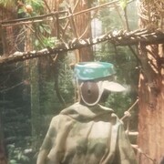 ���������� �����-���������, ���� ������� ������, 29 ���, ������������ ��� ������, ����� � ���������, c�������� ���������