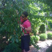 ���������� ������-��-����, ���� ������� Klukvo4ka, 34 ����, ������������ ��� ������, ����� � ���������, c�������� ���������