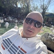  ,   GM, 43 ,   ,   , c 