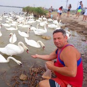 ���������� ������ ��������, ���� ������� ������, 46 ���, ������������ ��� ����� � ���������, c�������� ���������