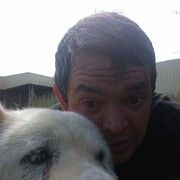  ,   , 33 ,   ,   , c , 