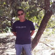 ���������� ���������, ���� ������� ����, 53 ����, ������������ ��� ������, ����� � ���������, c�������� ���������