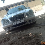  ,   Elaman, 33 ,   