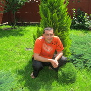  -,   , 51 ,   ,   , c 