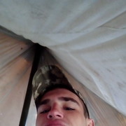  ,  Wild, 33