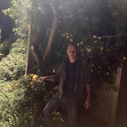 ���������� ������������, ���� ������� ����������, 33 ����, ������������ ��� ������, ����� � ���������, c�������� ���������, ���������