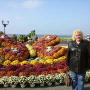 ���������� �������, ���� ������� ����, 51 ���, ������������ ��� ������, ����� � ���������