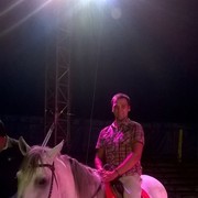  ,   Alexander, 38 ,   ,   , c 