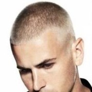 ���������� �������, ������� Vania, 43